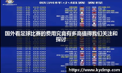 国外看足球比赛的费用究竟有多高值得我们关注和探讨